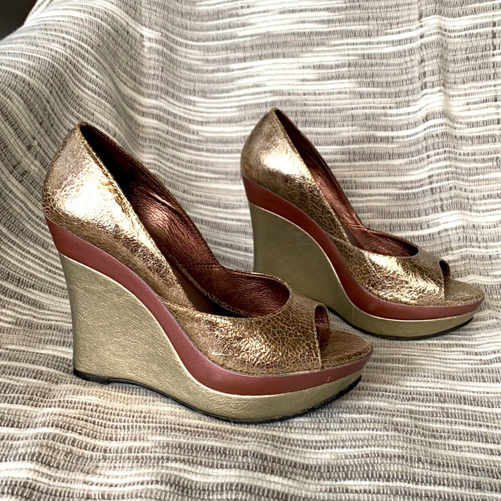 Carlos by Carlos Santana silver wedge shoes